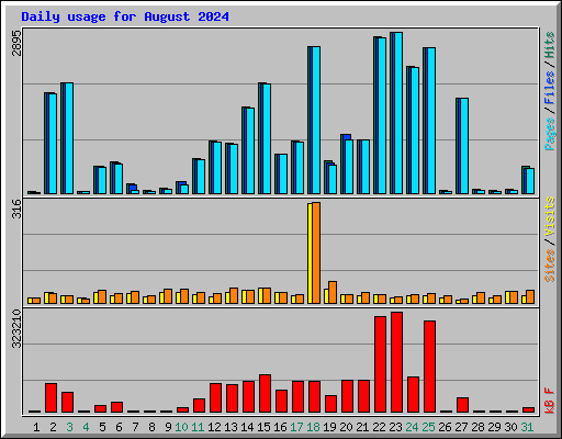 Daily usage for August 2024