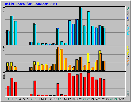 Daily usage for December 2024