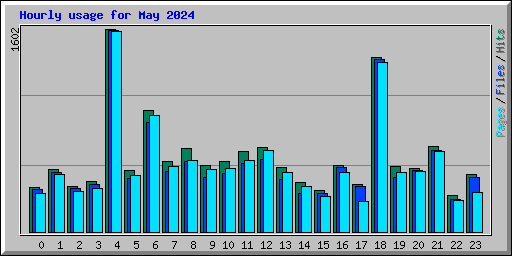 Hourly usage for May 2024