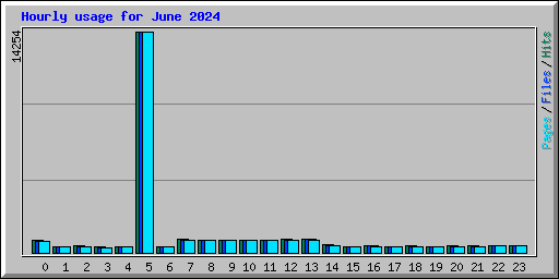 Hourly usage for June 2024