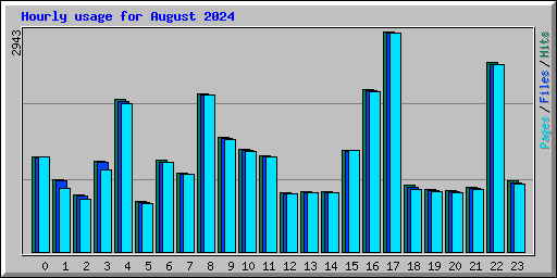 Hourly usage for August 2024