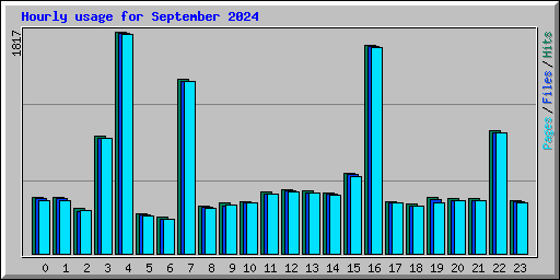 Hourly usage for September 2024