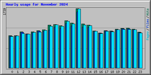 Hourly usage for November 2024