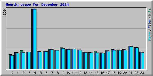 Hourly usage for December 2024